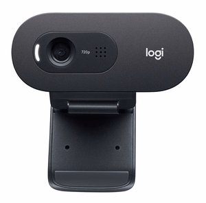 Logitech C505 tīmekļa kamera 1280 x 720 px USB melna