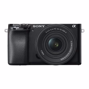 Sony (Sony ILCE-6100 беззеркальная камера + объектив 16-50mm, черный)