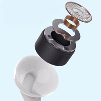 Dudao X3 Wired USB-C In-Ear Austiņas - balts