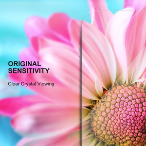 Aizsargstikls 2,5D Premium Realme 14x 5G (Global)