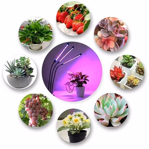 LED lamp for growing plants Reach 3X