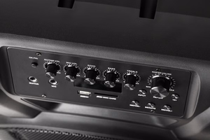 Aktīvā skaļruņu kolonna ar 2 bezvadu UHF mikrofoniem, SD, Bluetooth, FM, USB, 60 W