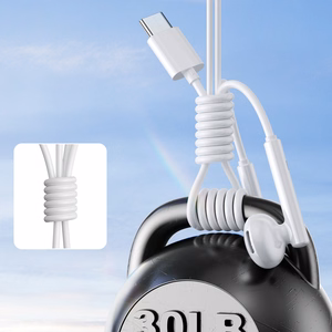 Гарнитура Joyroom JR-EC05 USB-C белый