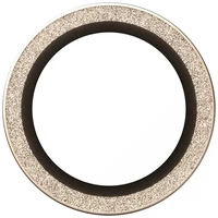 PanzerGlass Hoops Glitter Tempered Glass Lens Aizsargstikls skirtas iPhone Air - zelts