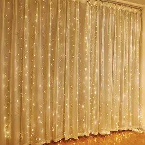 LED aizkars (100 LED spuldzītes) 3Mx1M silti balts