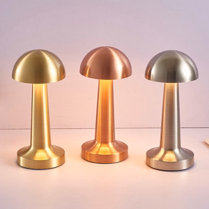 Nakts lampa WDL-04 bezvadu rozā zelta
