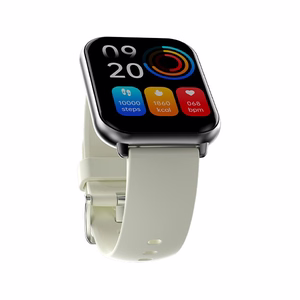 HiFuture Zone 2 Smartwatch - Gray