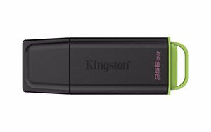 Kingston 256GB portatīvais USB 3.2 melns/zaļš