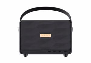 Havit SK907BT - 30 W wireless Bluetooth speaker (black)