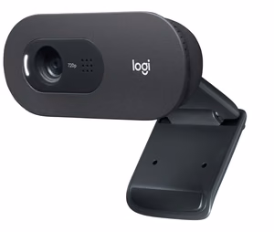 Logitech C505 tīmekļa kamera 1280 x 720 px USB melna
