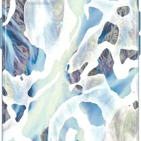 Maciņš T21-9347 Tech21 EvoArt iPhone 13 Frozen River