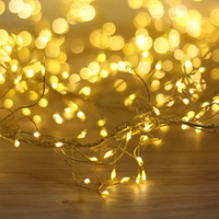 String Light GOLDEN TWIG CLF-03z 480LED cold balts 3m + 5m Forever Light