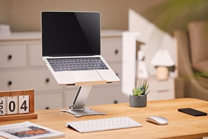 Gembird NBS-D1-03 laptop stand sudraba 39.6 cm (15.6")