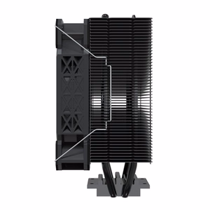 Savio SAVGCOFROSTBLACKX2 datora korpusa radiators 12 cm melns 1 gab.