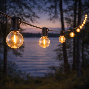 Forever Light Solar LED virtene SUNARI FLS-180 8.5m 10+1 caurspīdīgas spuldzes 1800mAh + RC