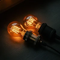 LED Bulb Filament E27 A60 4W 230V 2000K 250lm SF smoked Forever Light