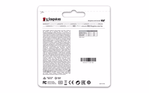 KINGSTON 256GB DataTraveler USB 3.2