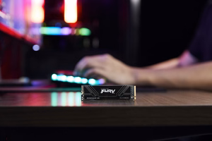 Kingston Technology 4T FURY RENEGADE G5 M.2 2280 NVMe SSD