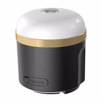 EcoFlow kempinga gaisma (N).