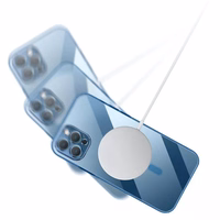 Tel Protect magnētiskais luksusa viedtālruņa apvalks Iphone 11 Pro piparmētru