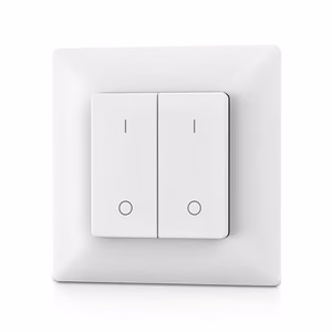 PF1-2 RF Remote Control, Single Color, 2 Zones