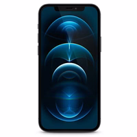 Guess aizsargstikls GUSPP12MSLTR iPhone 12/12 Pro 6.1" Vintage Magic Logo