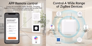 Мультирежимный шлюз TUYA, ZigBee, Wi-Fi, Bluetooth