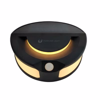 Forever Light Solar LED Lampa SUNARI FLS-13 32*SMD PIR 6W 300lm 3000K 1200mAh Li-ion