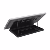 Huion Kamvas Pro 13 GT133 grafiskā planšete