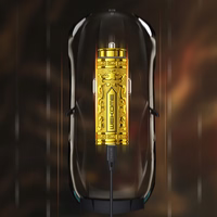 WEKOME WP-C37 Sakin Series - USB-C & USB-A Fast Charging PD 20W auto lādētājs (zeltains)