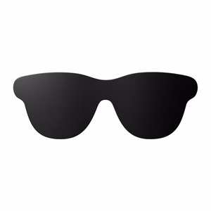 Lens shade RayNeo GT Max