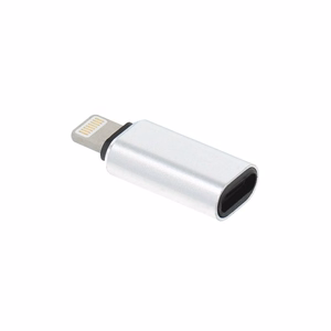 Adapter Type C (female) to Lightning (male) silver
