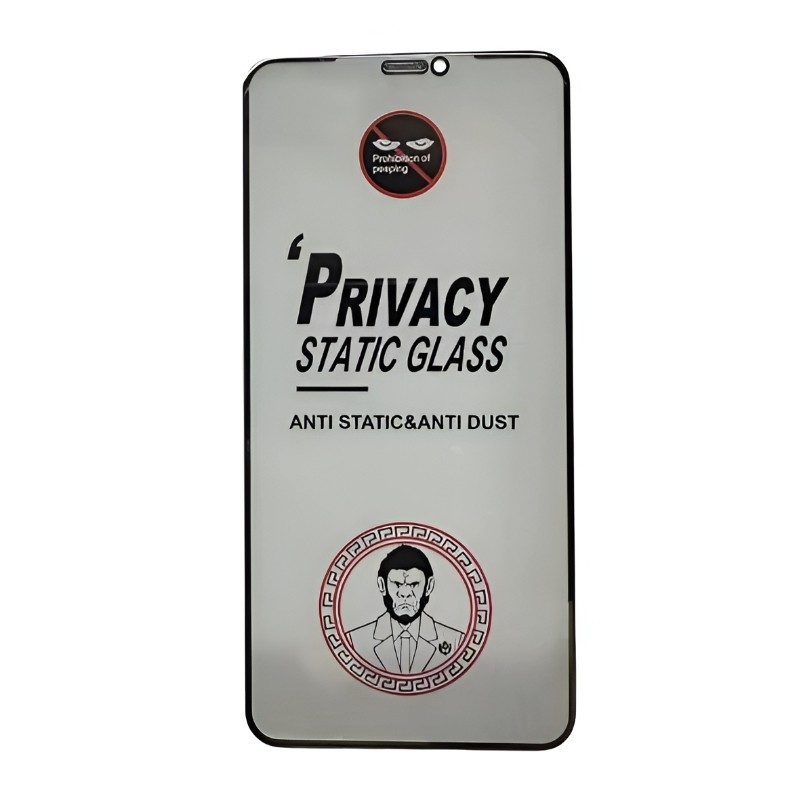 Rūdīts stikls ESD Anti-Static Privacy Samsung S731 S25 FE
