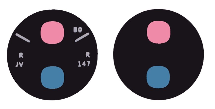 Samsung S908 S22 Ultra lens priekš camera Melns (lens Autofocus) 1pcs (service pack)