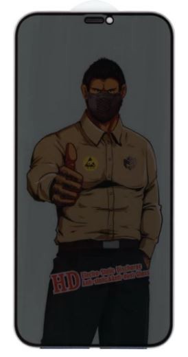 Screen protection glass "Privacy ESD Anti-Static Dust Proof" Apple iPhone XR/11 melns bulk