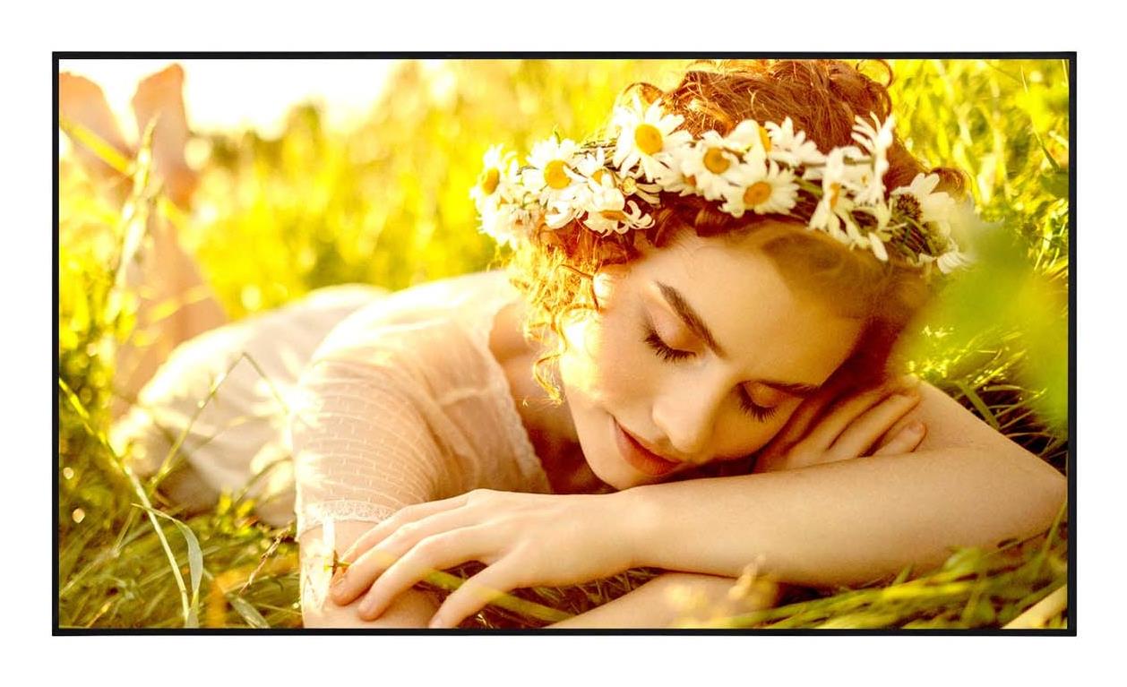 LCD displejs 65" 65UL5Q-E LG