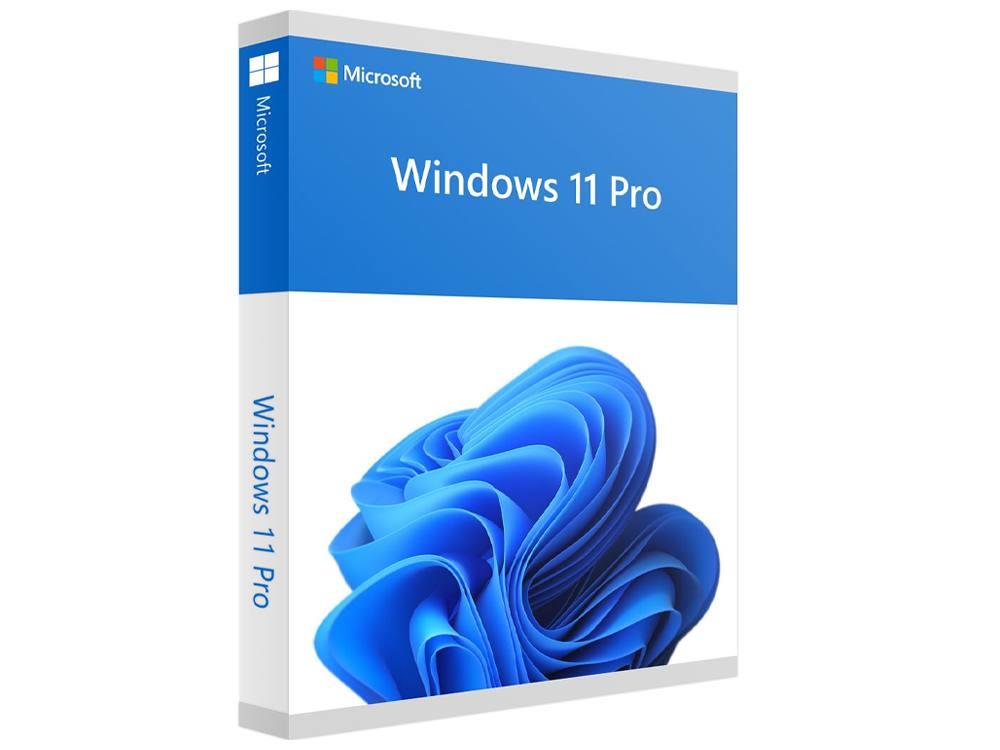 Microsoft Windows 11 Pro FPP 64-bit programmatūra