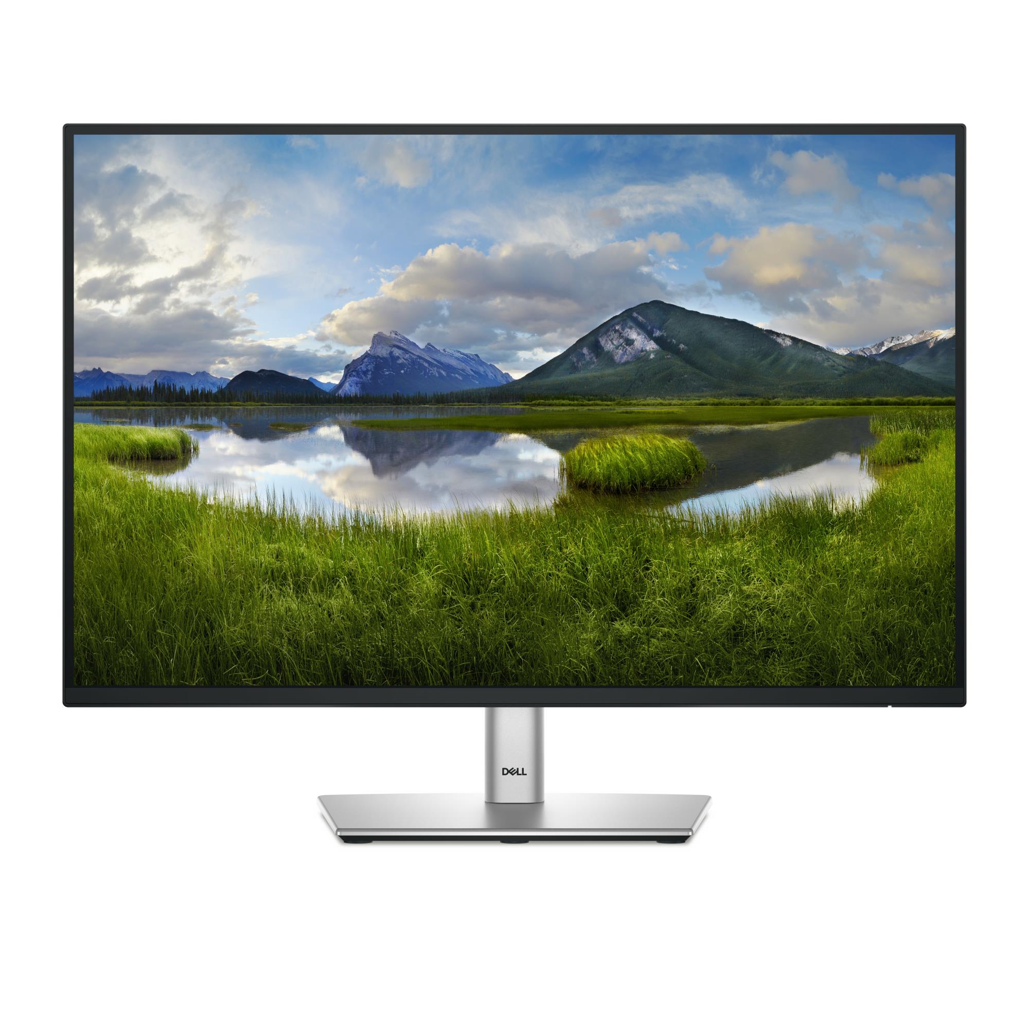 Monitors DELL P2425E 24" IPS 1920x1200 100Hz