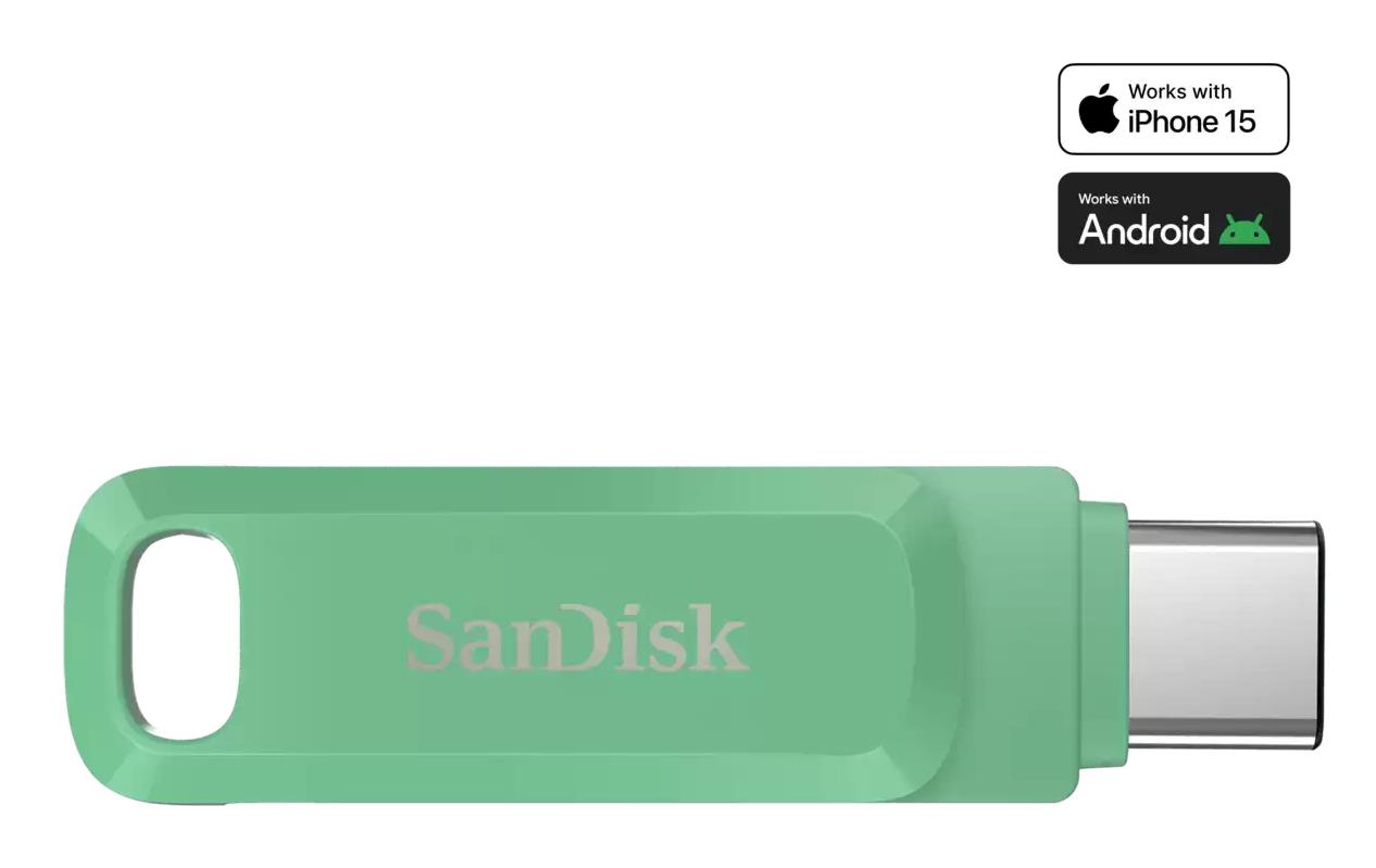 USB-C zibatmiņa SANDISK 512GB SDDDC3-512G-G46AG