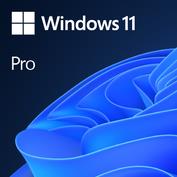 Microsoft Windows 11 Pro GGK 64-bit OEM programmatūra