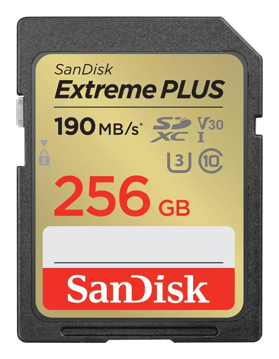 Atmiņa SDXC 256GB UHS-1/SDSDXWV-256G-GNCIN SANDISK