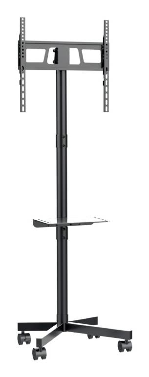 TV grīdas statīvs 32-55" TVS-55T-03 GEMBIRD