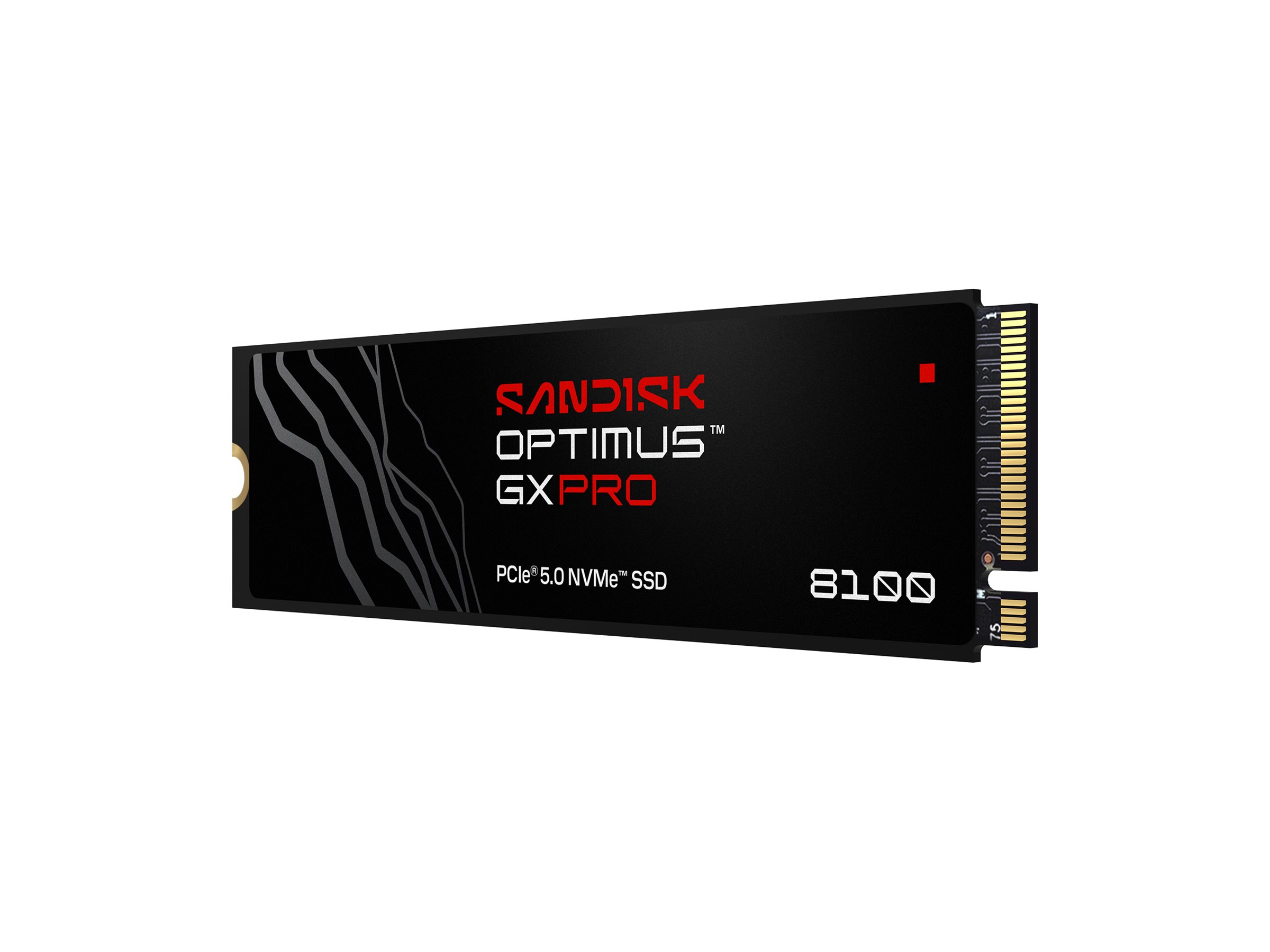 SANDISK Optimus GX PRO 8100 SSD 1TB