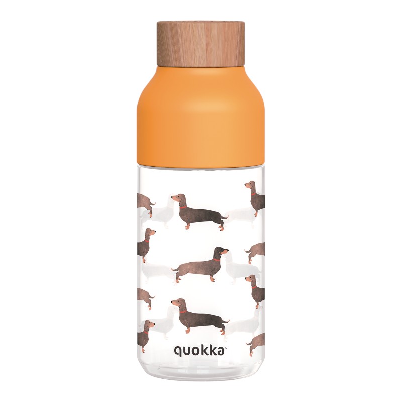 Quokka Ice Ecozen ūdens pudele, 570 ml, Taksis