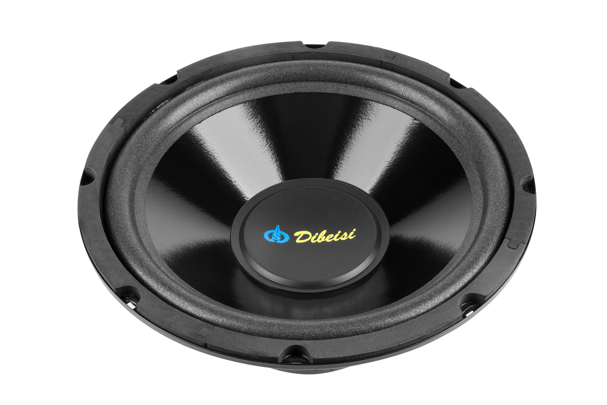 10 collu skaļrunis DBS-G1002, 8 omi