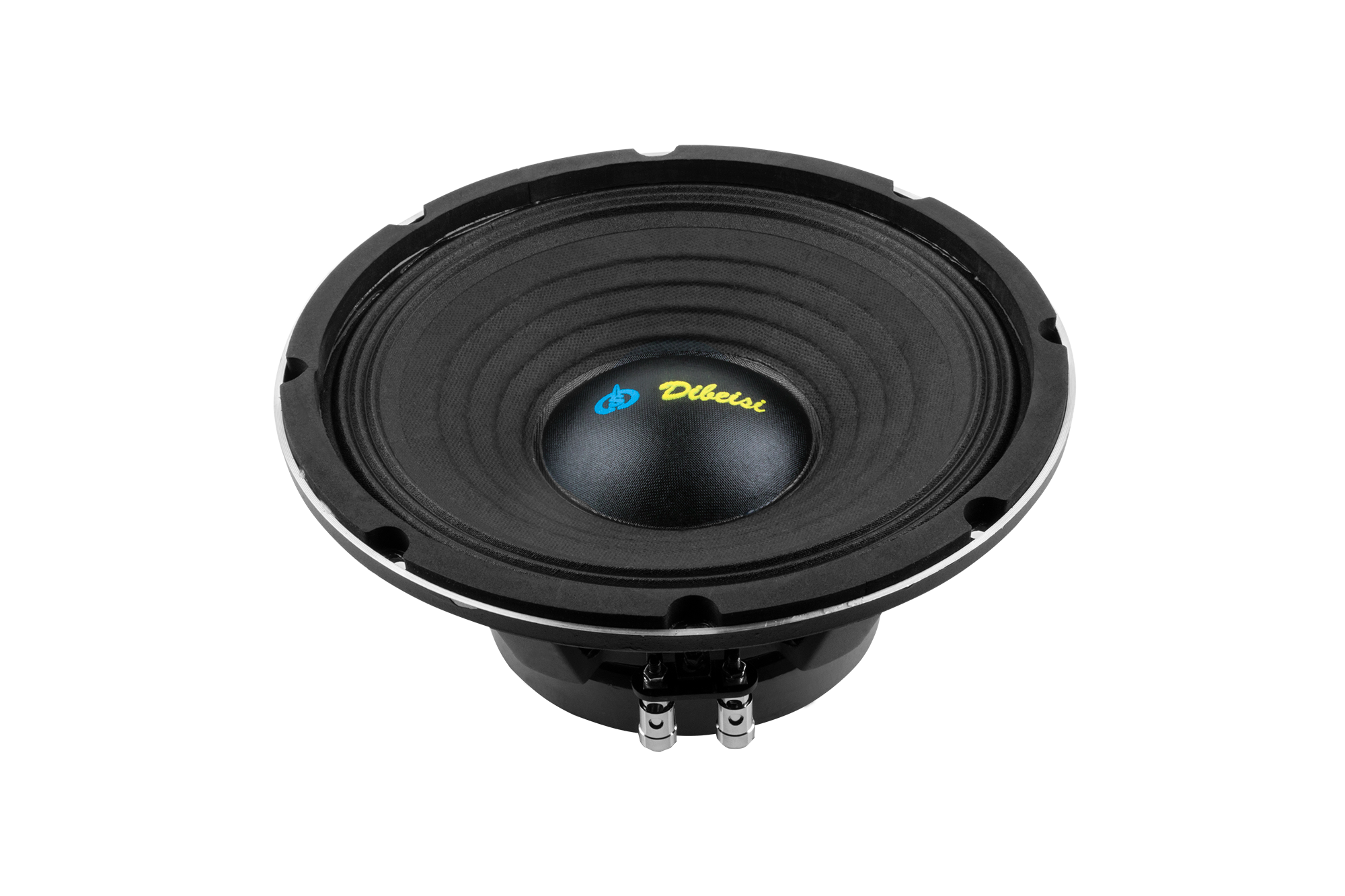 10 collu skaļrunis DBS-PS1005-8