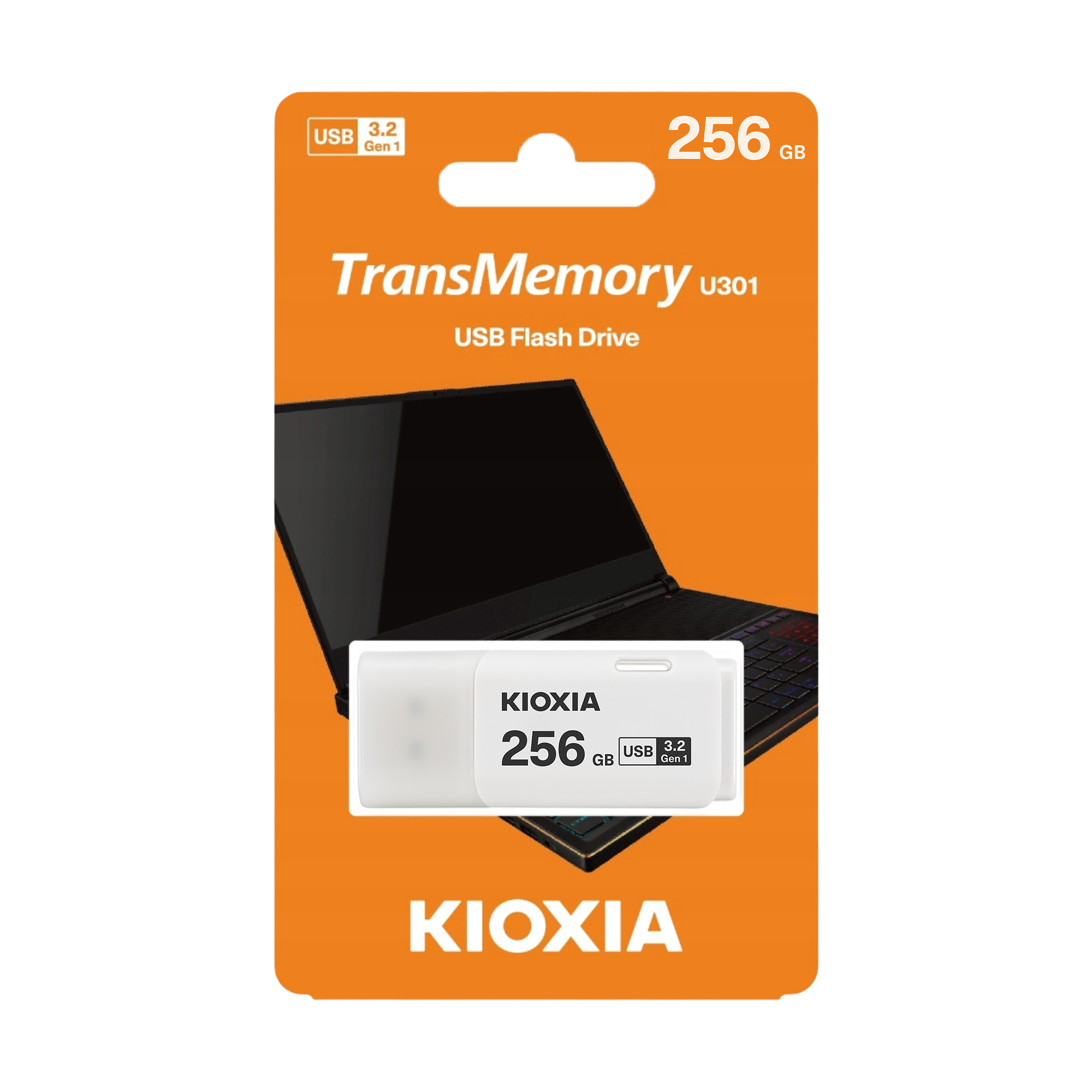 USB-накопитель Kioxia Hayabusa USB 3.2, 256 ГБ