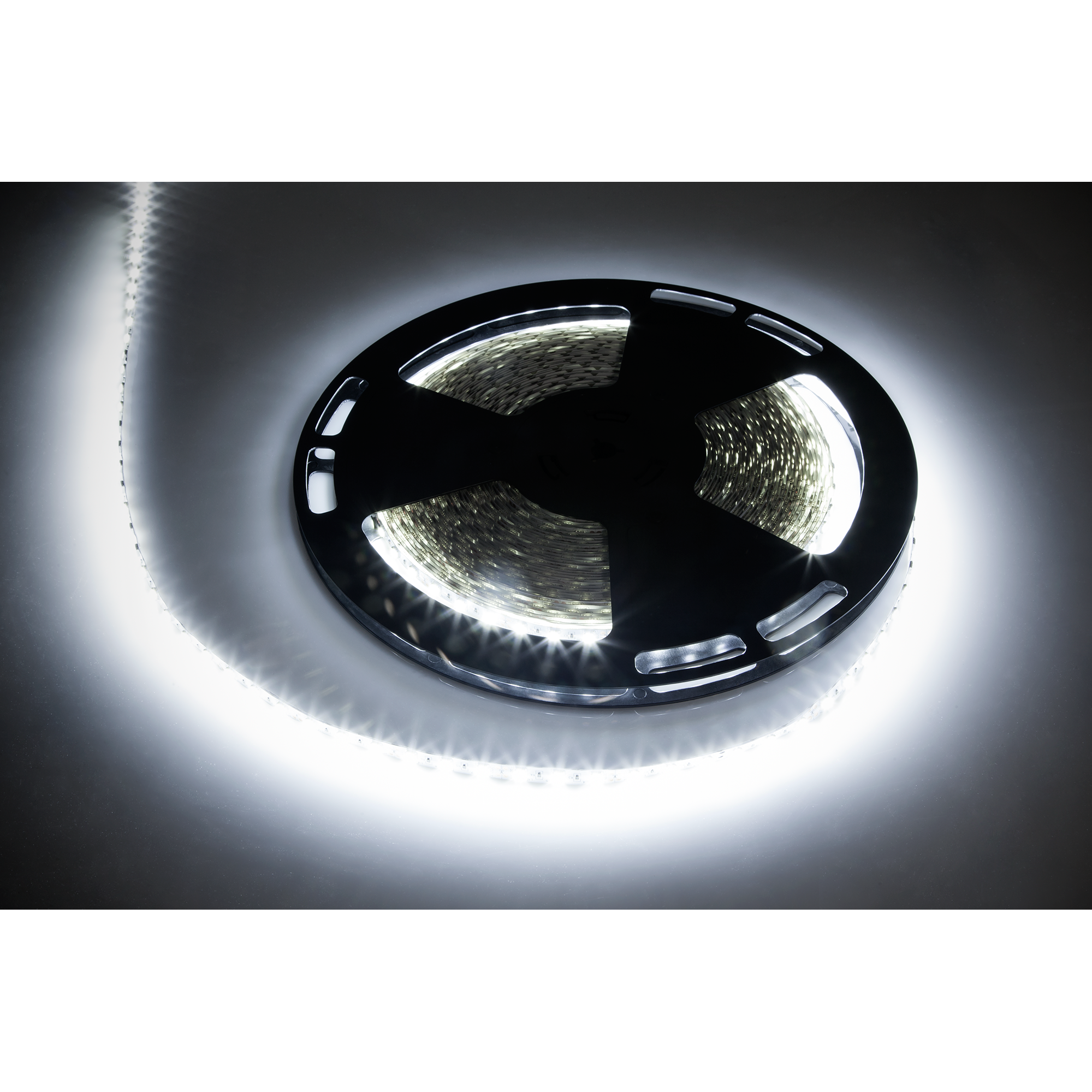 Rebel LED lente, 25 m, auksti balta, 1500 x 5050 SMD, 12 V