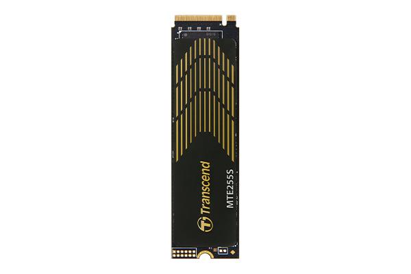 Transcend TS1TMTE255S 1 TB M.2